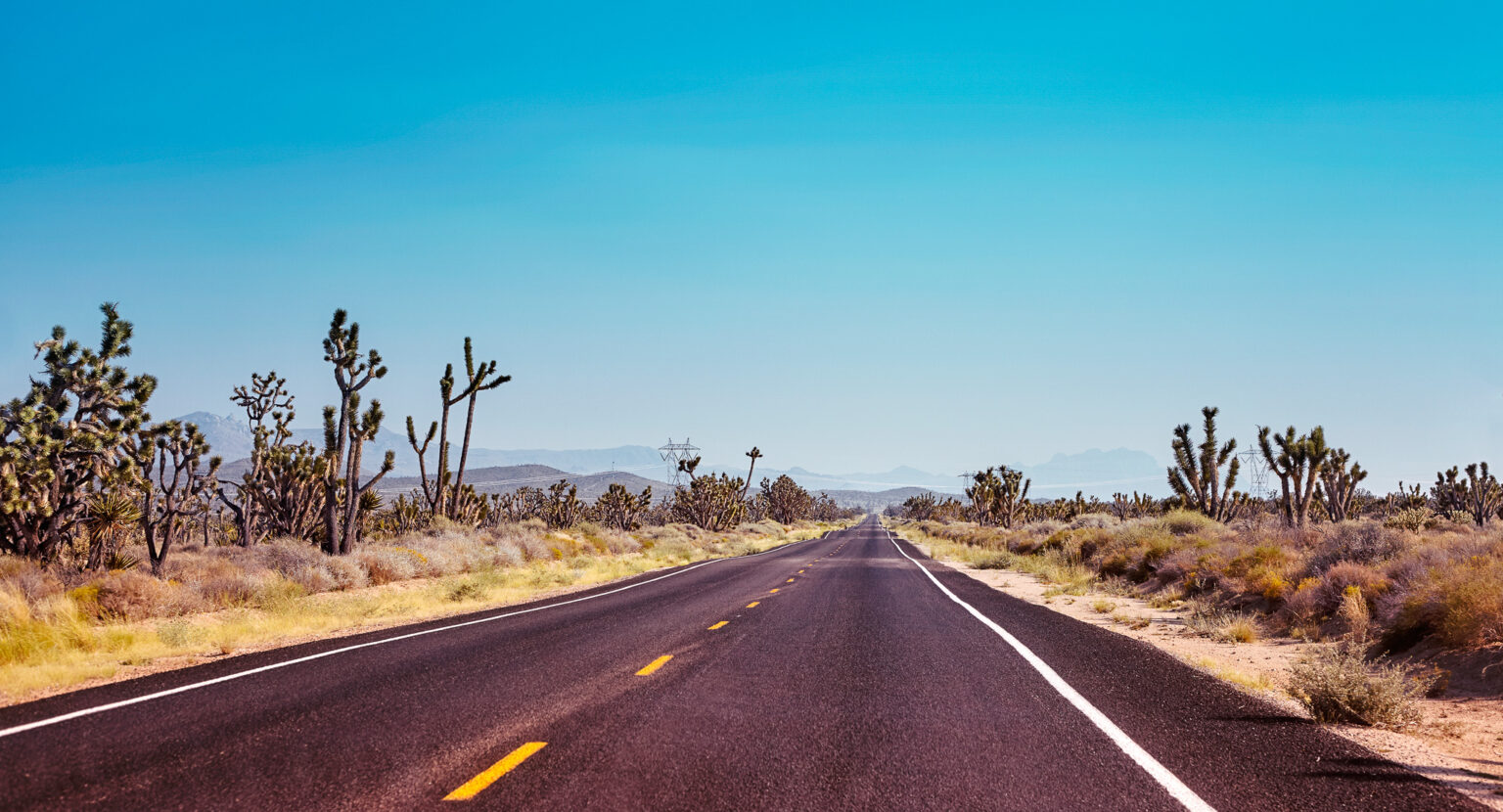 A Must-Go Camp Spot: Joshua Tree